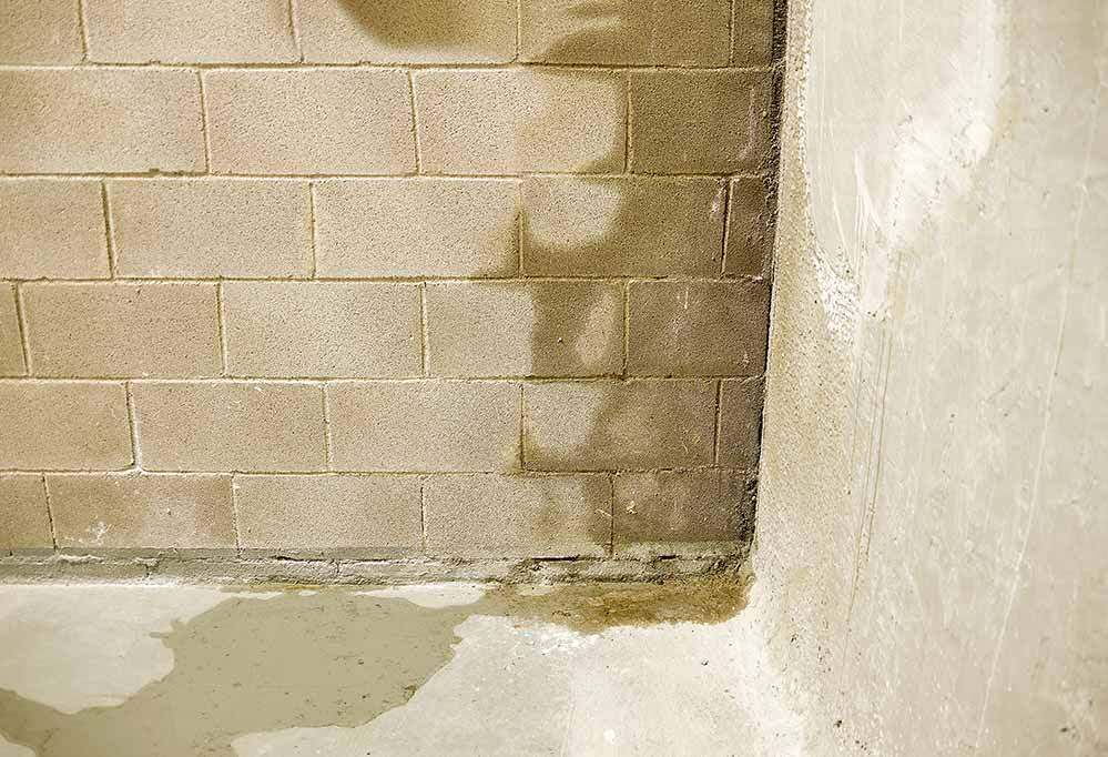 basement leak home inspection